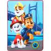 imageHot Wheels Kids Bedding Super Soft Plush Throw Blanket 46 in x 60 in Officially Licensed Product by FrancoPaw Patrol