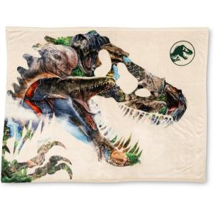 imageHot Wheels Kids Bedding Super Soft Plush Throw Blanket 46 in x 60 in Officially Licensed Product by FrancoJurassic World Rebirth Movie