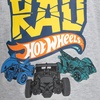 image:imageHot Wheels Boys 3Pack Short Sleeve Tees Toddler to Big KidGrayBlackRed